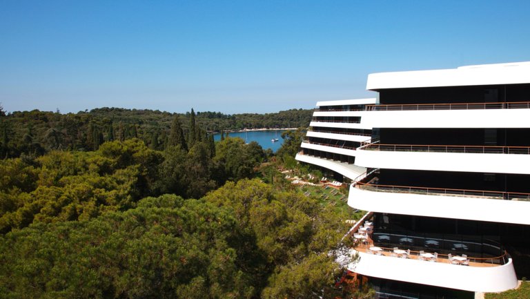 Save the date for Summer Camp 2016 - and enjoy our holiday presents!