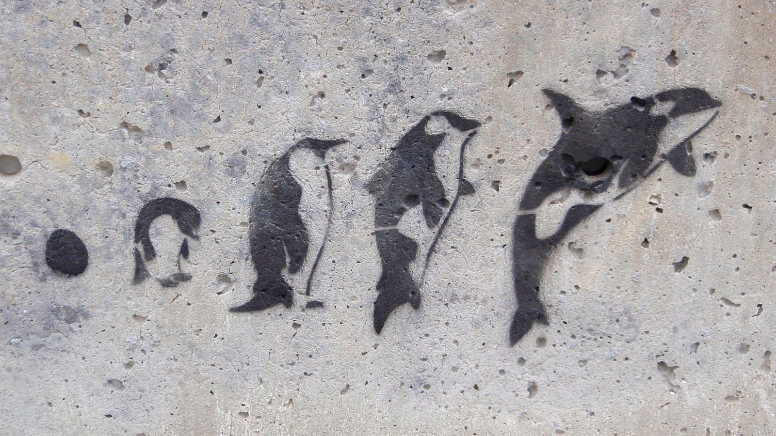 Summer Camp logo evolution