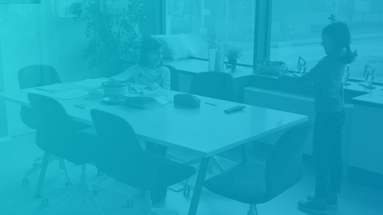 Summer Internship at Netgen