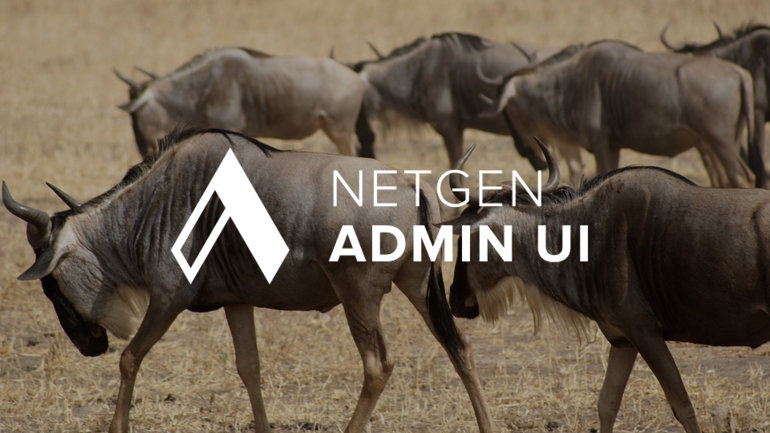 We are releasing Netgen Admin UI to the public