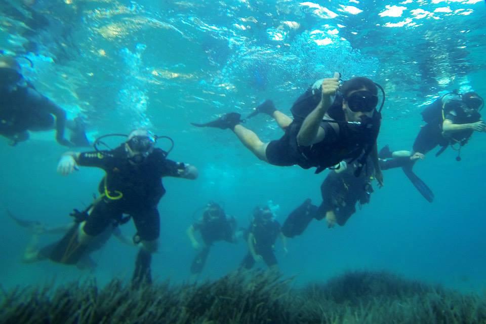 1234124_513513768738247_1855222140_n