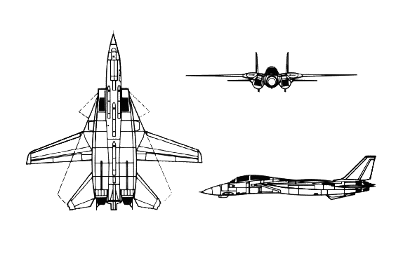 Grumman_F-14_Tomcat