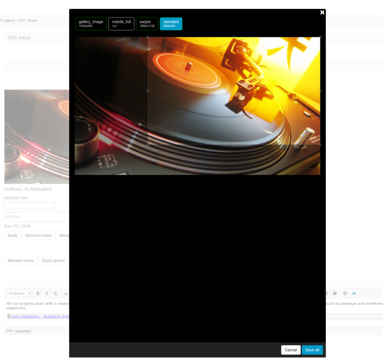Netgen Remote Media cropping interface
