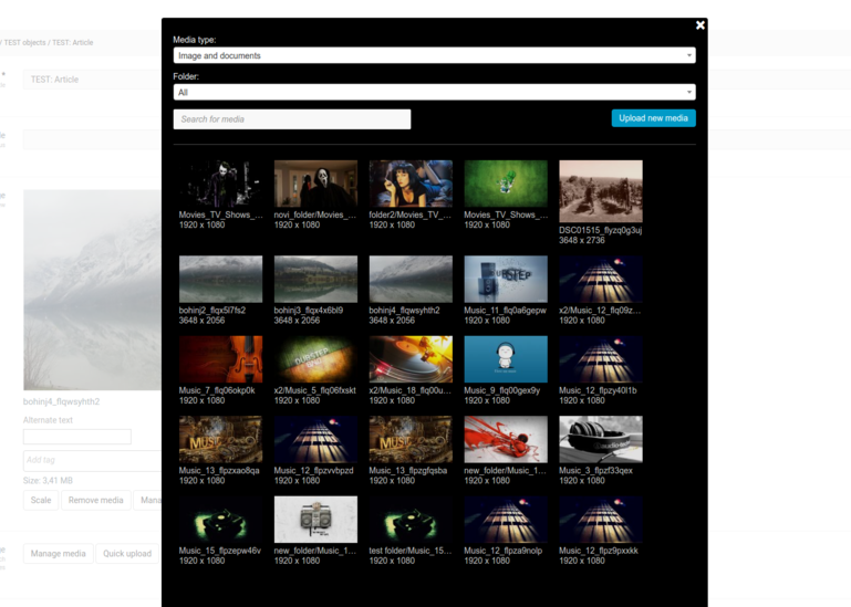 Netgen Remote Media browse interface