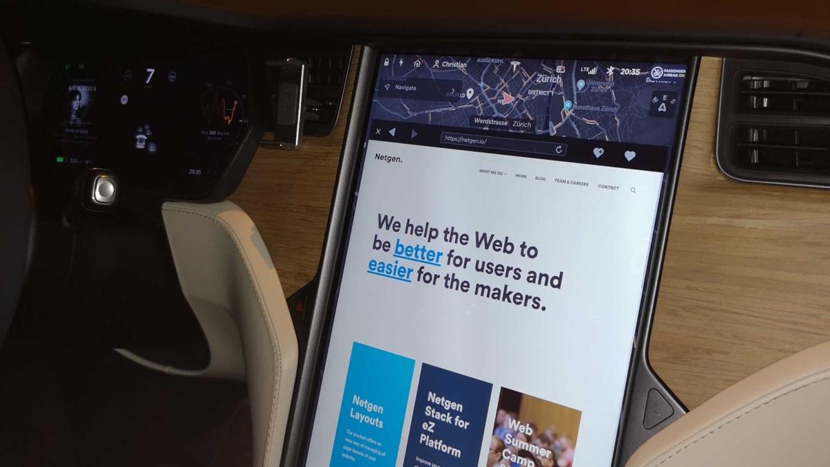 netgen layouts in tesla car