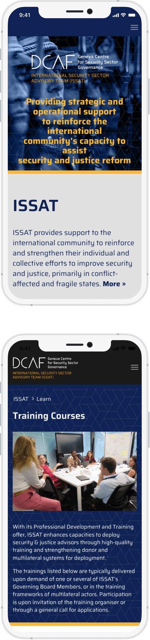 International organizations: ISSAT